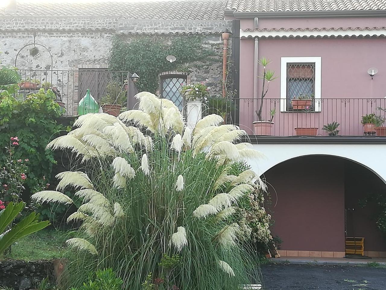 Etnante Bed & Breakfast Zafferana Etnea Bagian luar foto