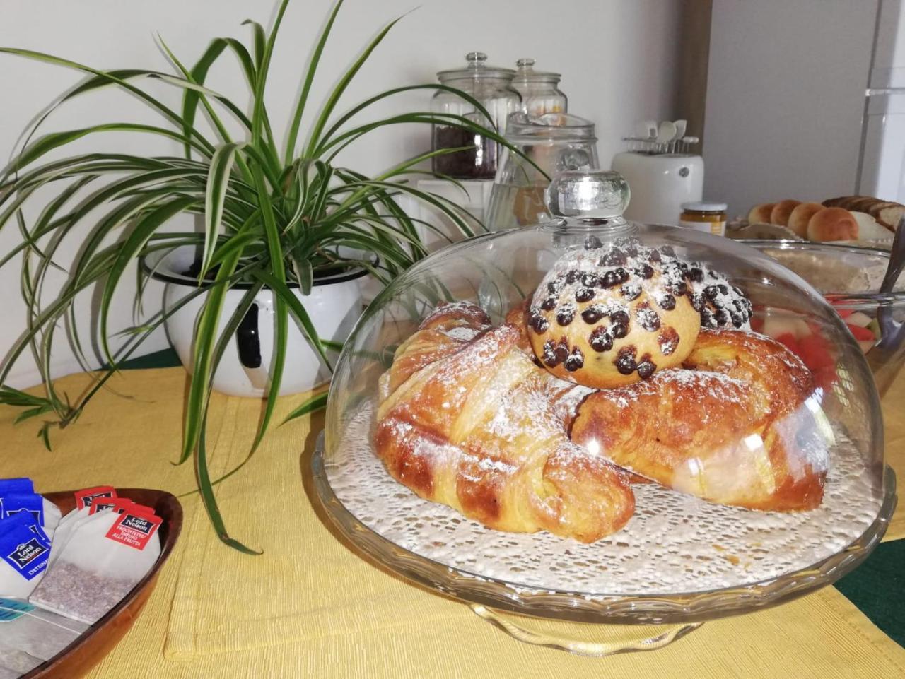 Etnante Bed & Breakfast Zafferana Etnea Bagian luar foto